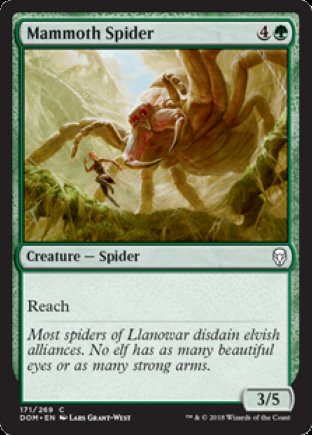 Mammoth Spider