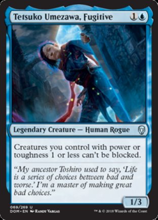 Tetsuko Umezawa, Fugitive | Dominaria