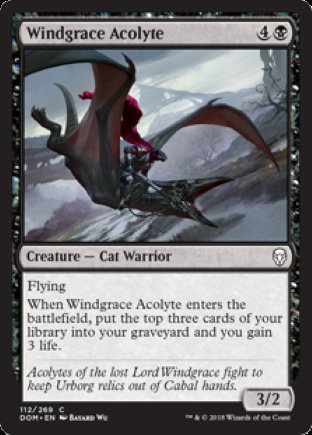 Windgrace Acolyte | Dominaria