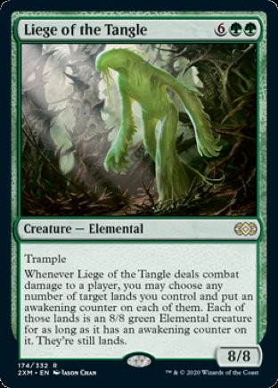 Liege of the Tangle | Double Masters