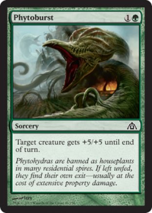 Phytoburst | Dragons Maze