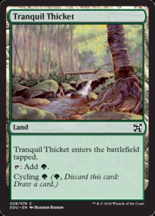 Tranquil Thicket | Elves vs Inventors
