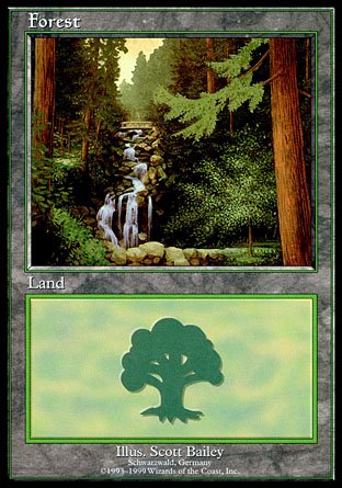 Forest | Euro Land