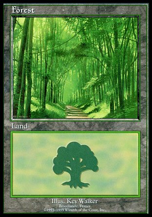 Forest | Euro Land