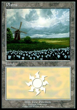 Plains | Euro Land