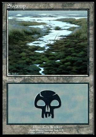 Swamp | Euro Land