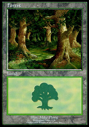 Forest | Euro Land
