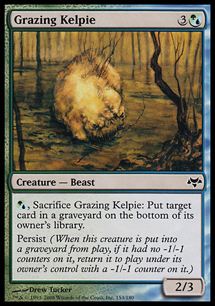 Grazing Kelpie | Eventide