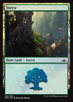 Forest | Guilds of Ravnica