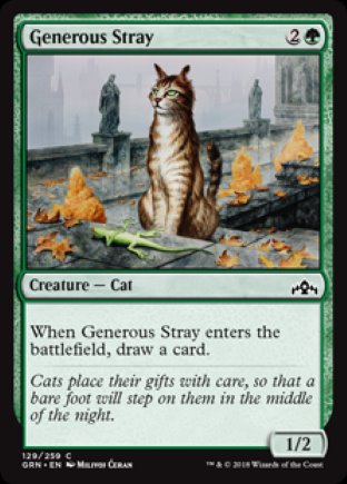 Generous Stray