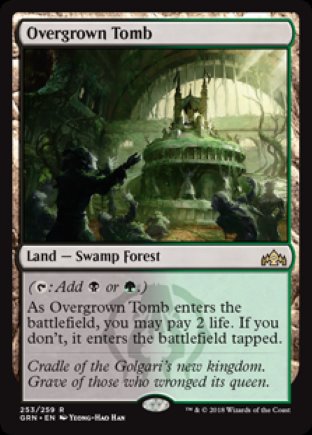 Overgrown Tomb | Guilds of Ravnica