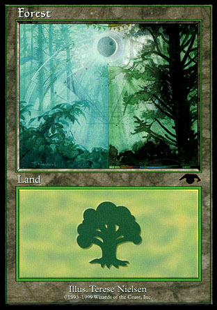 Forest | Guru Land