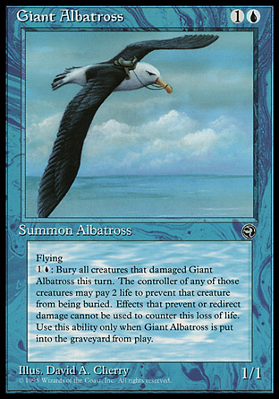 Giant Albatross | Homelands