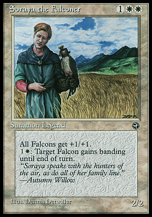 Soraya the Falconer | Homelands