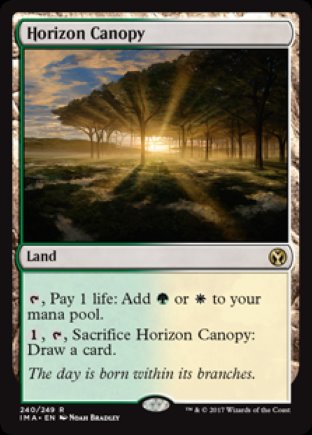 Horizon Canopy | Iconic Masters