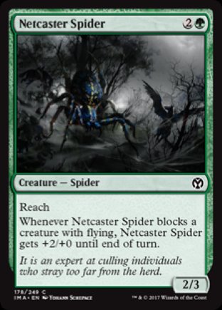 Netcaster Spider | Iconic Masters