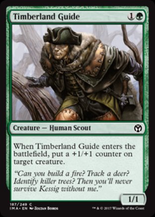 Timberland Guide | Iconic Masters
