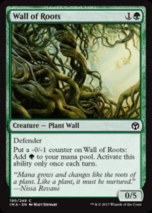 Wall of Roots | Iconic Masters