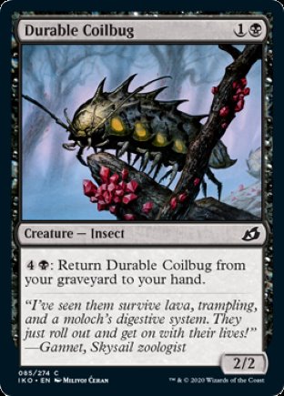 Durable Coilbug