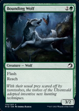 Bounding Wolf | Innistrad Midnight Hunt