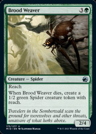 Brood Weaver | Innistrad Midnight Hunt