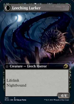 Curse of Leeches | Innistrad Midnight Hunt