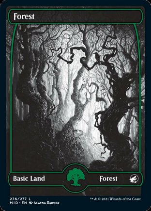 Forest | Innistrad Midnight Hunt