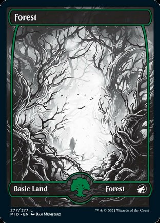 Forest | Innistrad Midnight Hunt