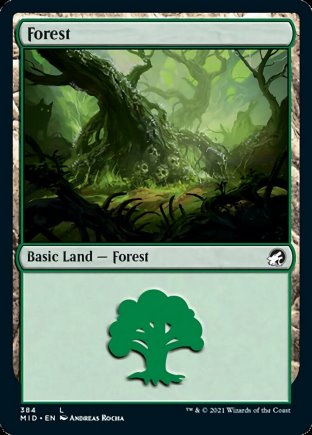 Forest | Innistrad Midnight Hunt