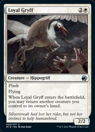 Loyal Gryff | Innistrad Midnight Hunt