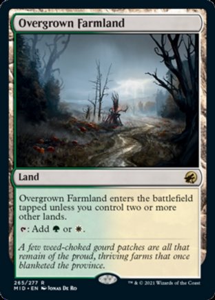 Overgrown Farmland | Innistrad Midnight Hunt