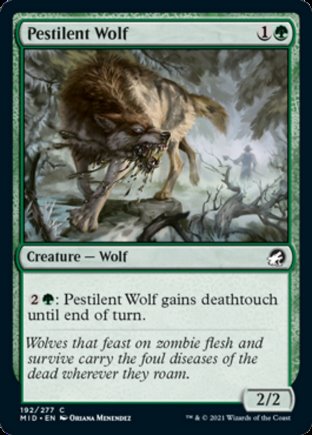 Pestilent Wolf | Innistrad Midnight Hunt