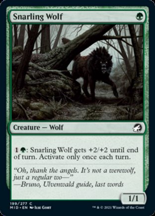 Snarling Wolf | Innistrad Midnight Hunt
