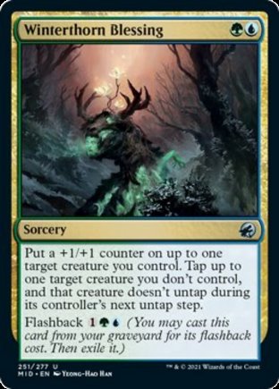 Winterthorn Blessing | Innistrad Midnight Hunt