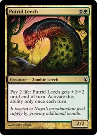 Putrid Leech | Izzet vs Golgari