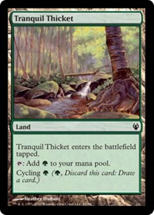 Tranquil Thicket | Izzet vs Golgari