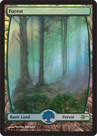 Forest | Judge Gift