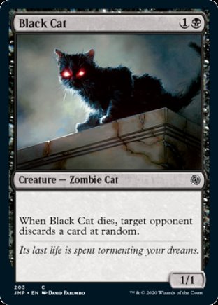 Black Cat | Jumpstart