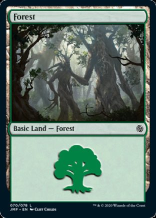 Forest | Jumpstart