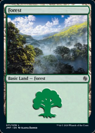 Forest | Jumpstart
