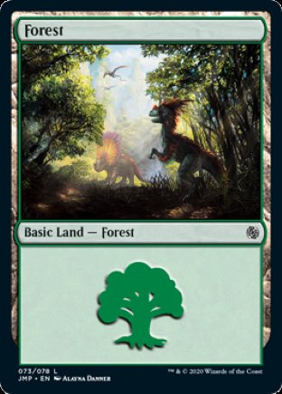 Forest | Jumpstart