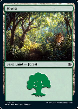 Forest | Jumpstart