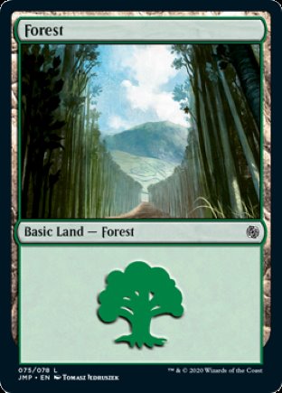 Forest | Jumpstart