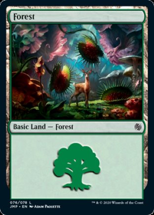 Forest | Jumpstart