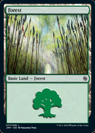 Forest | Jumpstart