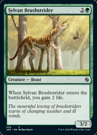 Sylvan Brushstrider | Jumpstart