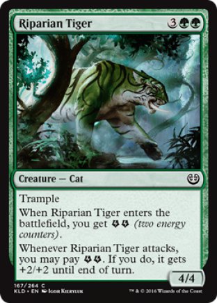 Riparian Tiger | Kaladesh