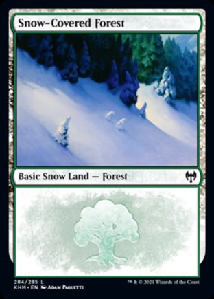 Snow-Covered Forest | Kaldheim