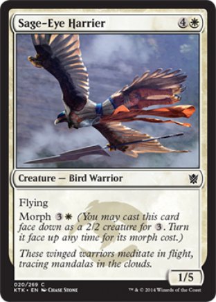 Sage-Eye Harrier | Khans of Tarkir