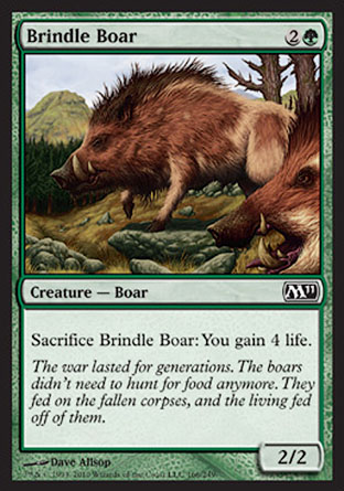 Brindle Boar | M11